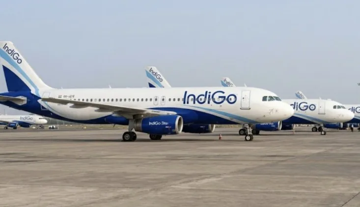 Indigo