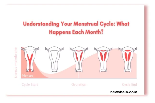 Menstruation 
