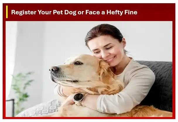 Register Your Pet Dog or Face a Hefty Fine
