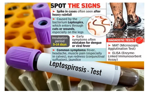 symptoms of Leptospirosis