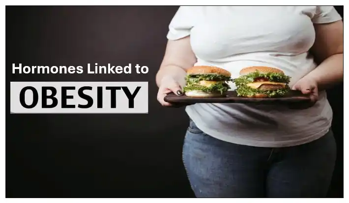 Which Hormones Contribute to Obesity? Which Hormones Contribute to Obesity?